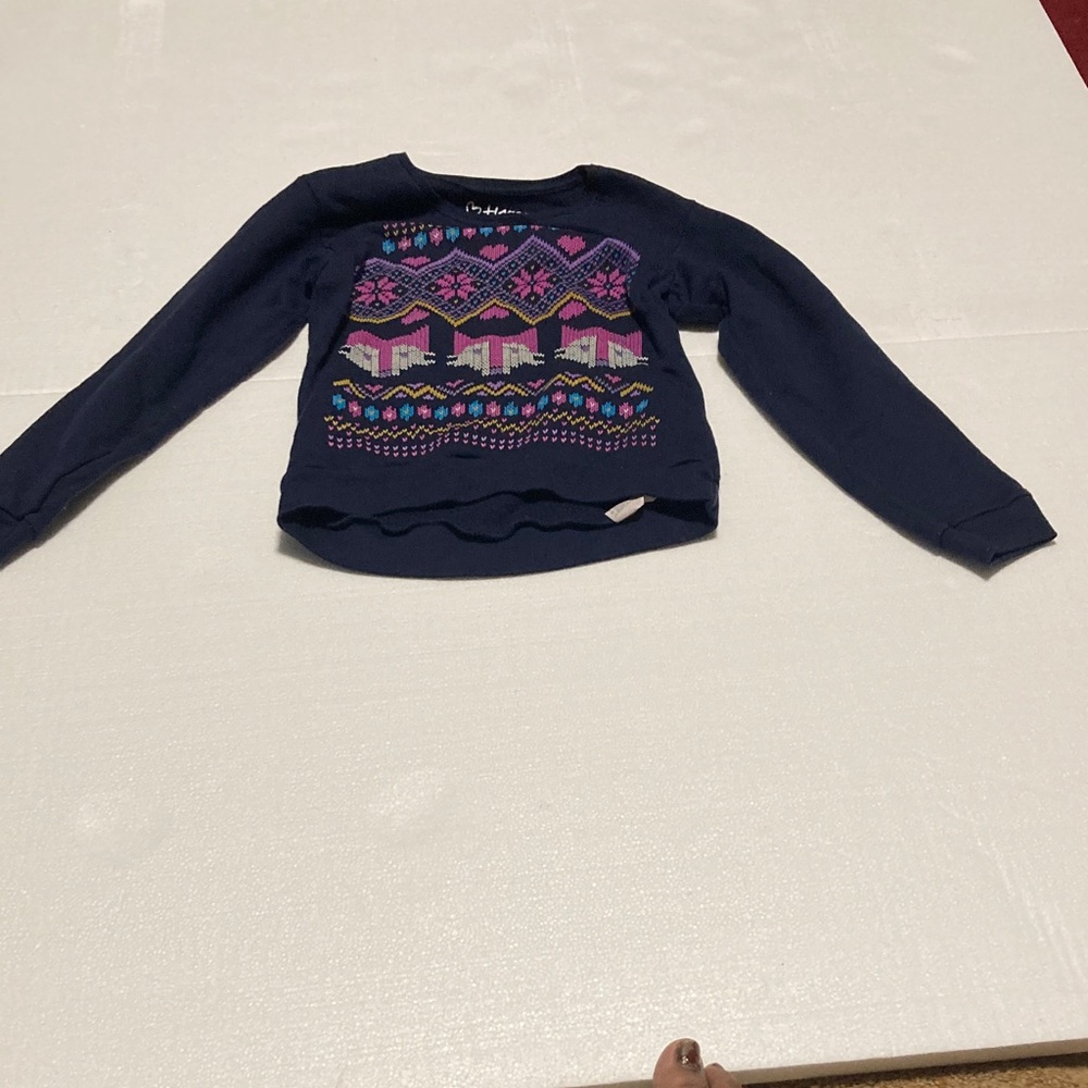 The Children's Place Blue and Pink Nordic Sweatshirt